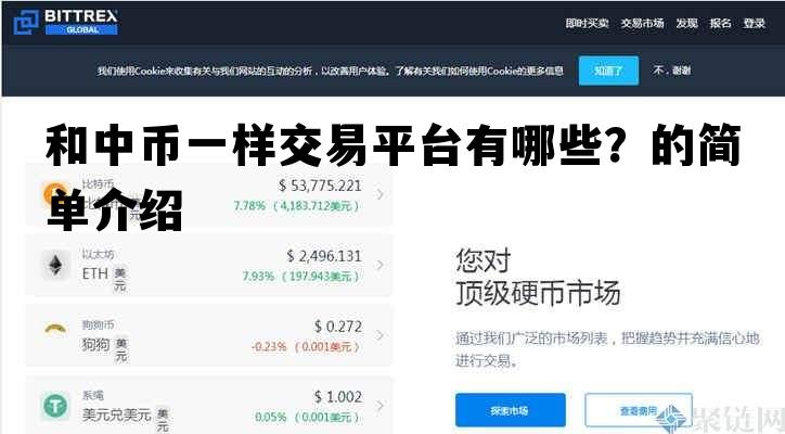和中币一样交易平台有哪些？的简单介绍