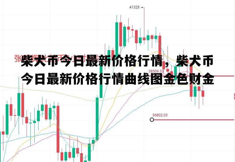 柴犬币今日最新价格行情，柴犬币今日最新价格行情曲线图金色财金