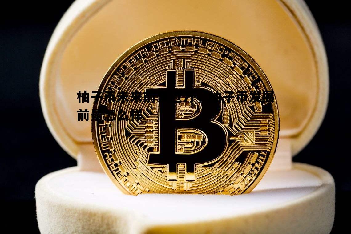 柚子币未来前景过万，柚子币发展前景怎么样