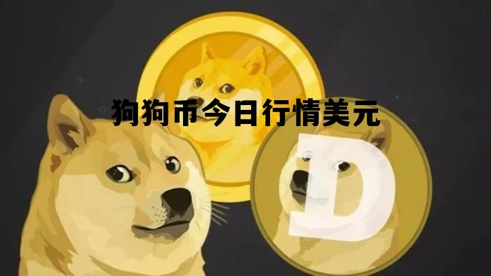 狗狗币今日行情美元，狗狗币的实时行情美元
