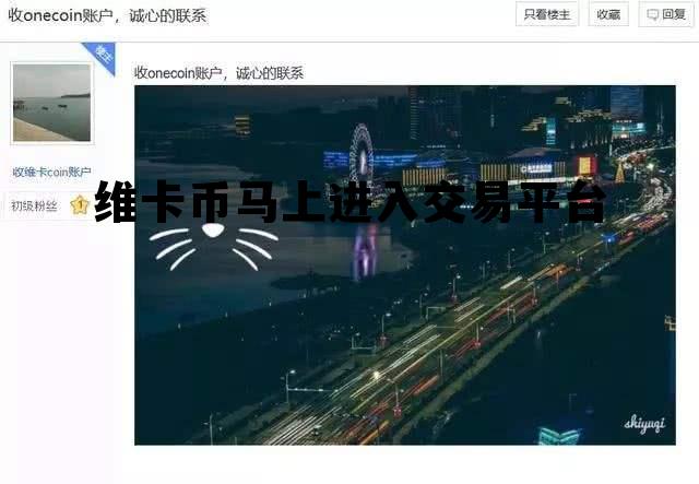 维卡币马上进入交易平台的简单介绍