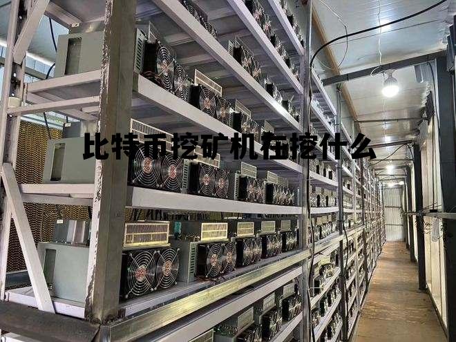 比特币挖矿机在挖什么，比特币矿机是怎么挖矿的?