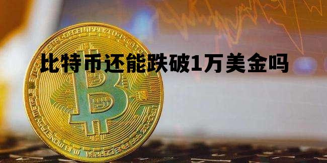 比特币还能跌破1万美金吗，比特币会跌到5000美金吗