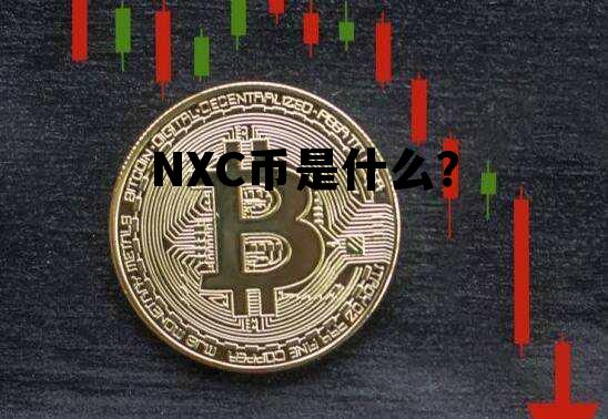 NXC币是什么？，nxs币有什么价值