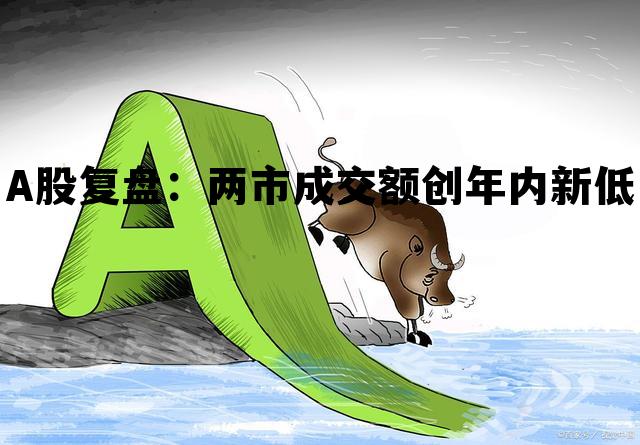 A股复盘：两市成交额创年内新低，两市成交额跌破7000亿, 主力却蜂拥买入这些股票