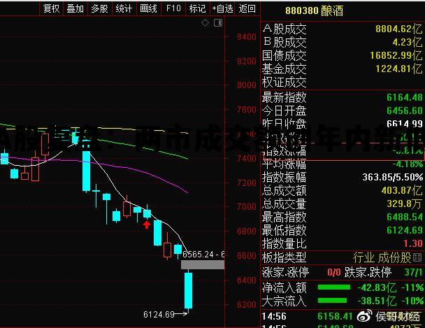 A股复盘：两市成交额创年内新低，两市成交额跌破7000亿, 主力却蜂拥买入这些股票