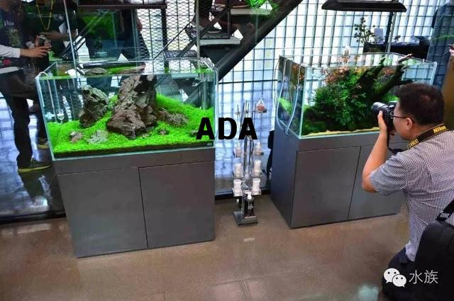 ADA，ada医学上是什么意思