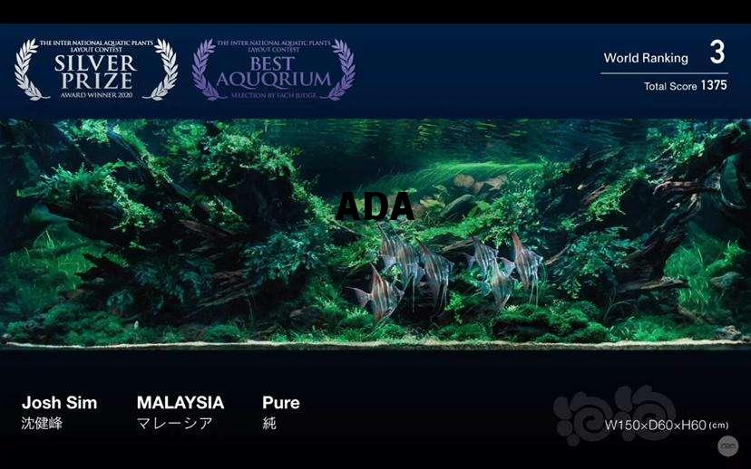 ADA，ada医学上是什么意思