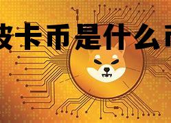 波卡币是什么币，波卡币是做什么的