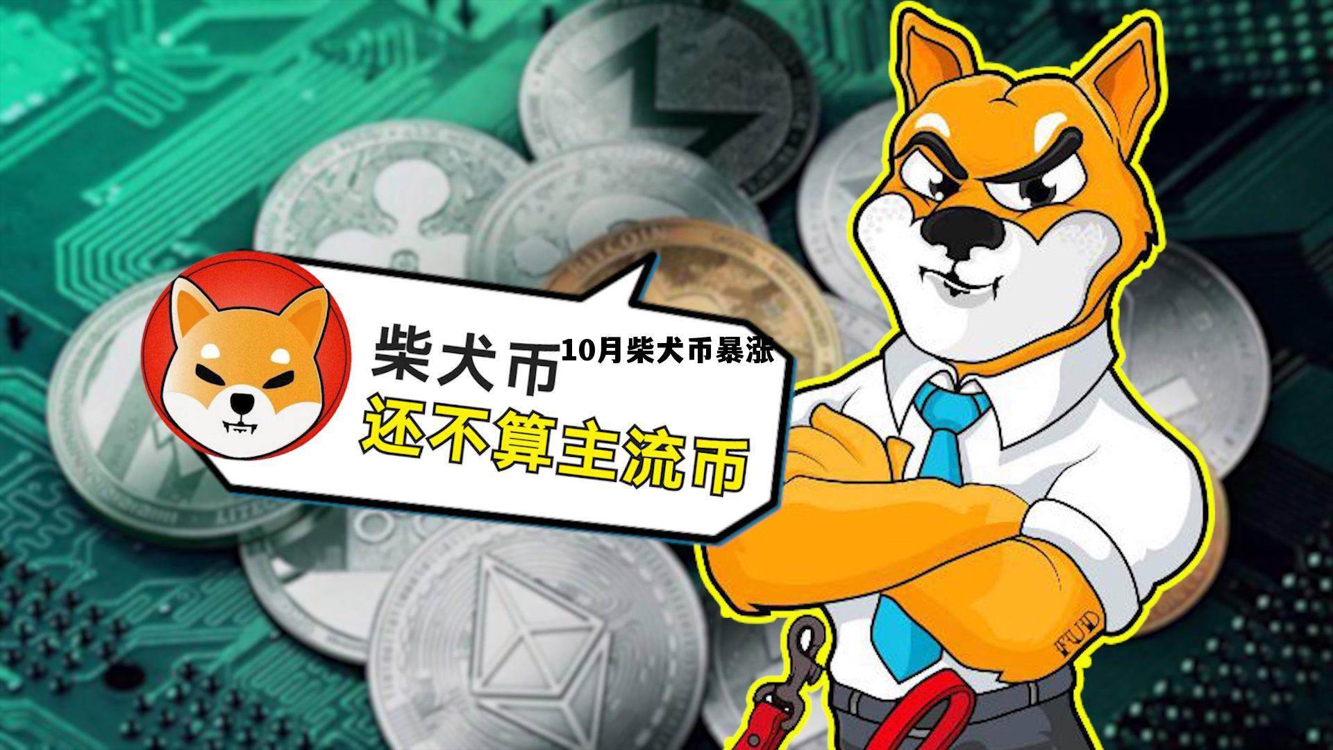 包含10月柴犬币暴涨的词条
