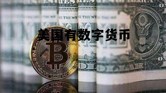 美国有数字货币，美国数字货币概念股