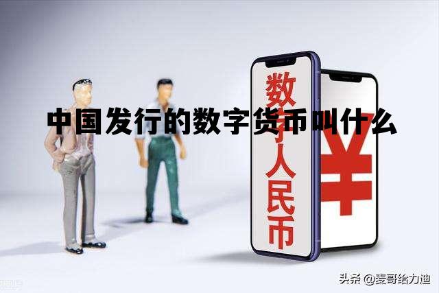 中国发行的数字货币叫什么，中国发行的数字货币叫什么名字