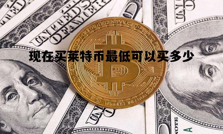 现在买莱特币最低可以买多少，现在买莱特币最低可以买多少钱
