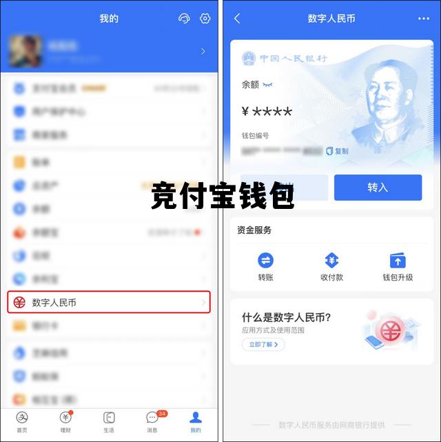 竞付宝钱包，宝付钱包是什么