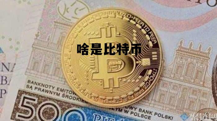 啥是比特币，啥是比特币挖矿