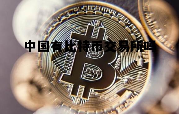中国有比特币交易所吗，中国有几个比特币交易所