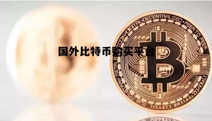 国外比特币购买平台，国外交易比特币的网站
