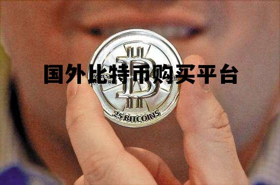 国外比特币购买平台，国外交易比特币的网站