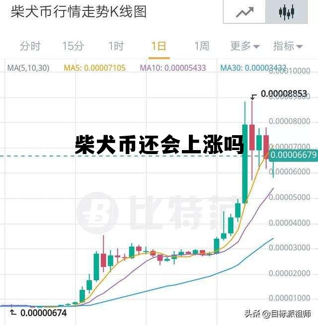 柴犬币还会上涨吗，柴犬币未来能涨到多少